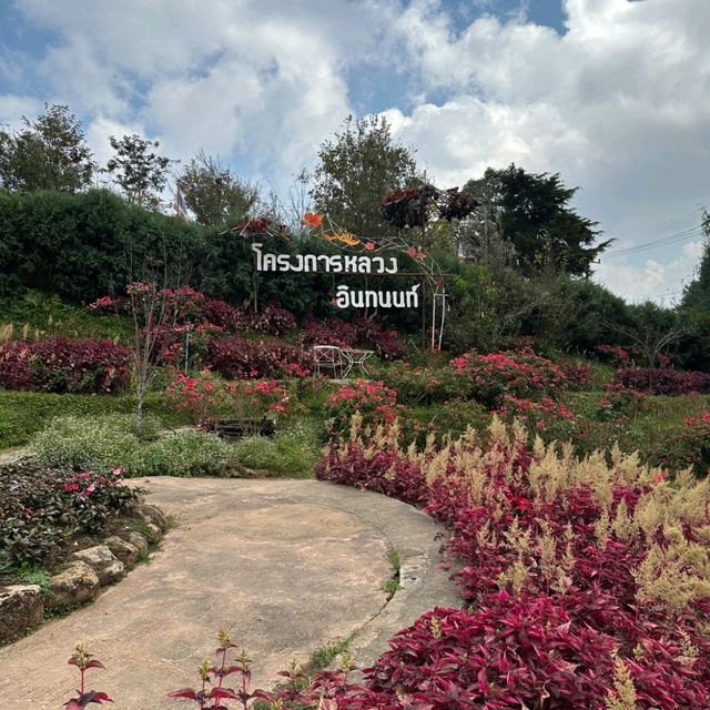 ชมดอกไม้สวยๆ ที่สถานีเกษตรหลวงอินทนนท์