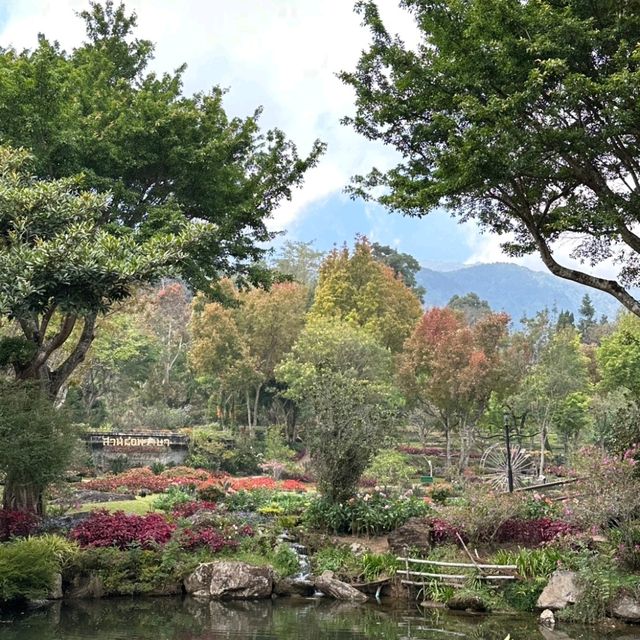 ชมดอกไม้สวยๆ ที่สถานีเกษตรหลวงอินทนนท์