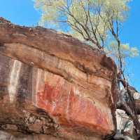 A Wild Adventure Awaits: My Unforgettable Day at Kakadu National Park !!