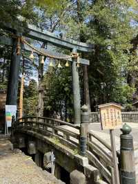 【長野】全国2.5万社以上ある諏訪神社の総本社でパワーチャージ!!