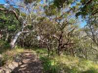 Booti Booti Hill Hiking Trail