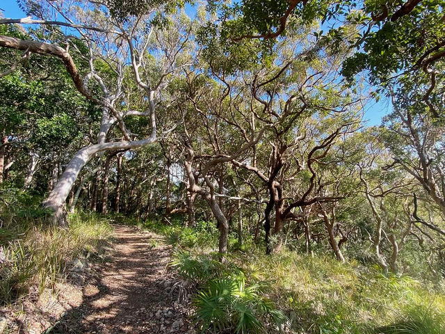 Booti Booti Hill Hiking Trail