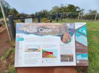 Majestic Views from Table Cape Lookout