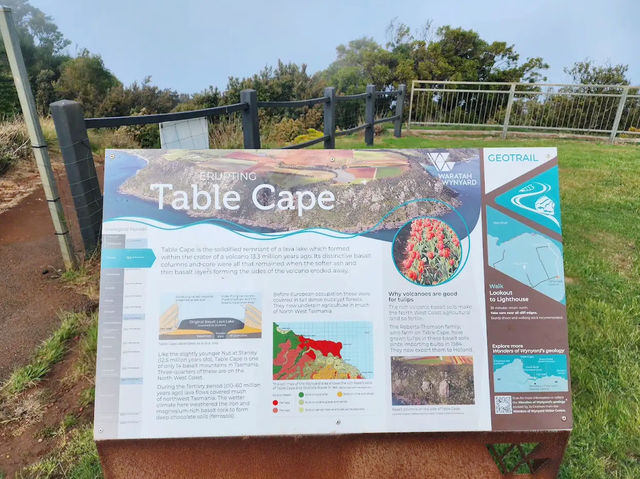 Majestic Views from Table Cape Lookout