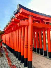 【東京】飛行機と神社のコラボ✨