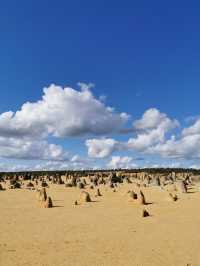 🇦🇺 Discover Perth: Must-See Spots for Nature, History, and Iconic Views