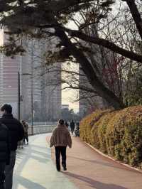 국내 여행지 추천