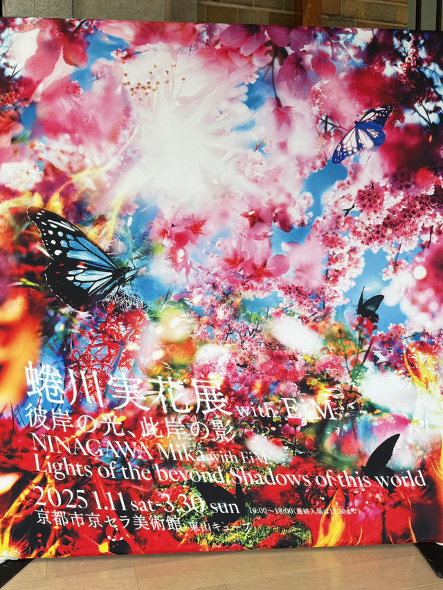 京都 ❤︎ 話題のここ行った⁉️まるで異世界の色彩美💐 