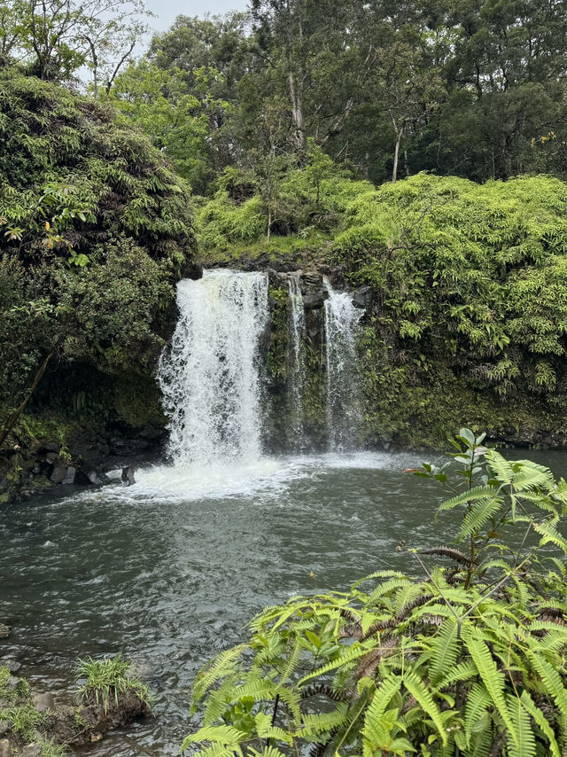 A stunning waterfall with swimming holes