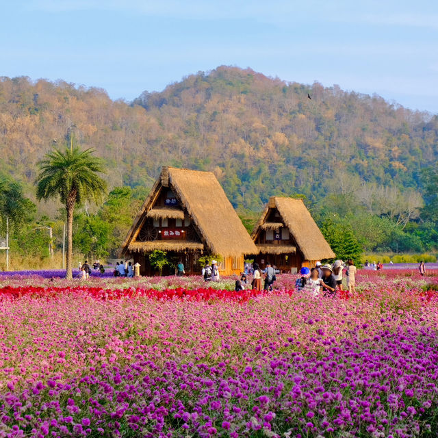Hokkaido Flower Park Khaoyai 