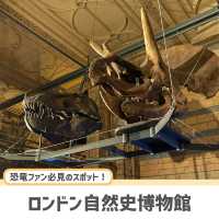 【ロンドン】子どもも大人も夢中になるスポット！🇬🇧🦖
