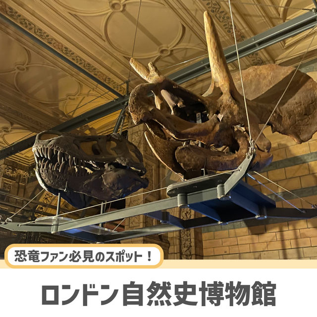 【ロンドン】子どもも大人も夢中になるスポット！🇬🇧🦖