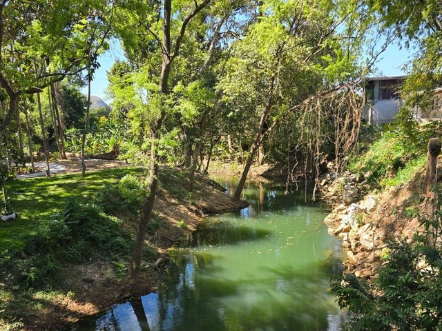 Stardoi Farm Khaoyai 