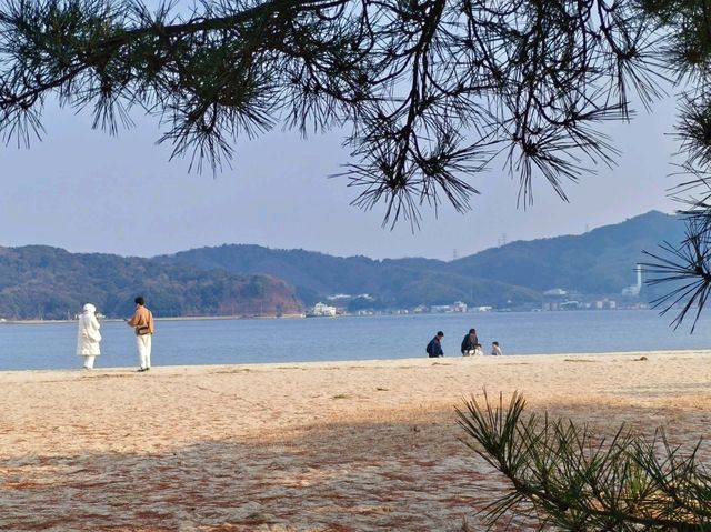 日本三景-天橋立
