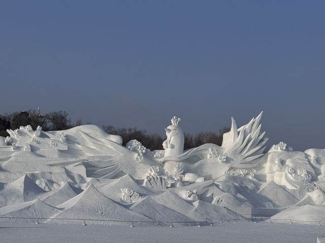 2-Days winter trip to Harbin