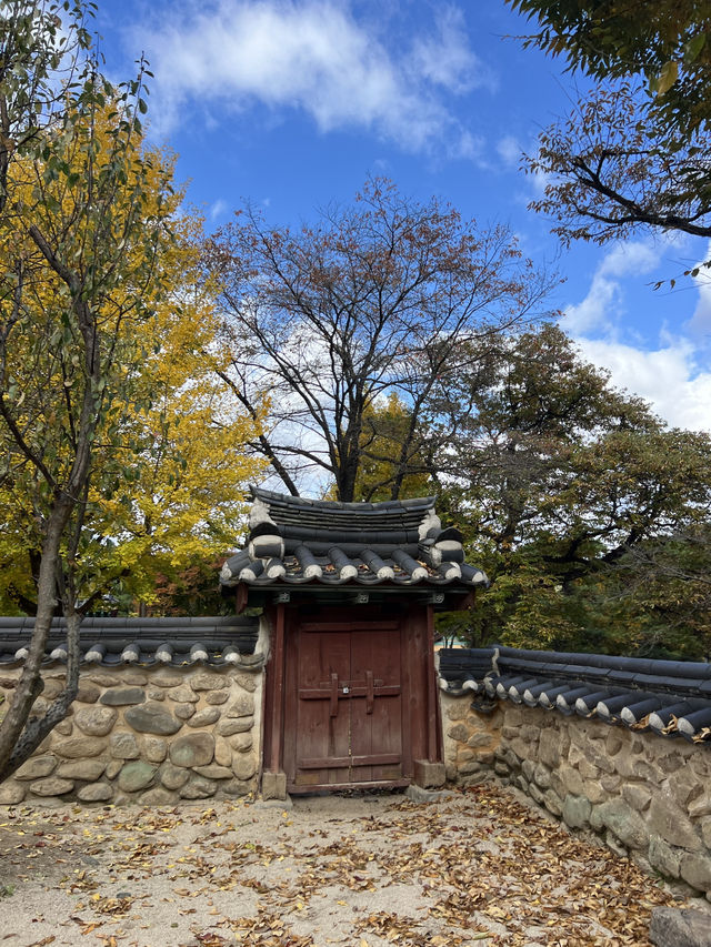 가을 단푼여행 경북 소수서원