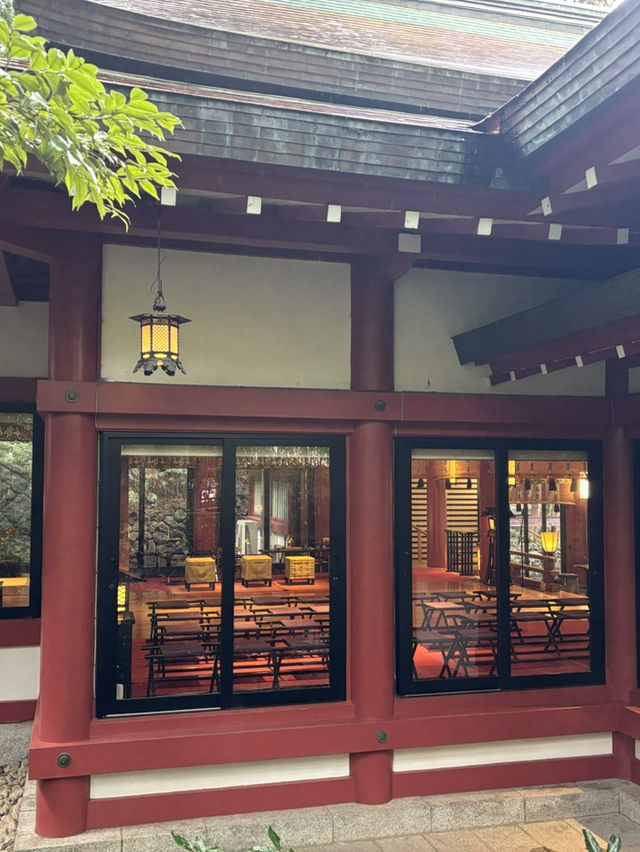探訪來宮神社大楠：靜岡熱海的千年神樹，祈願與能量的聖地