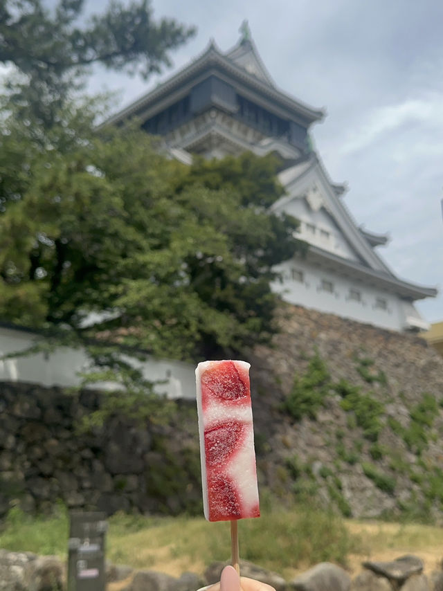 기타큐슈 여행, 숨겨진 매력을 발견하다! 🇯🇵