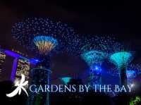 Gardens by the Bay 🌿✨🇸🇬