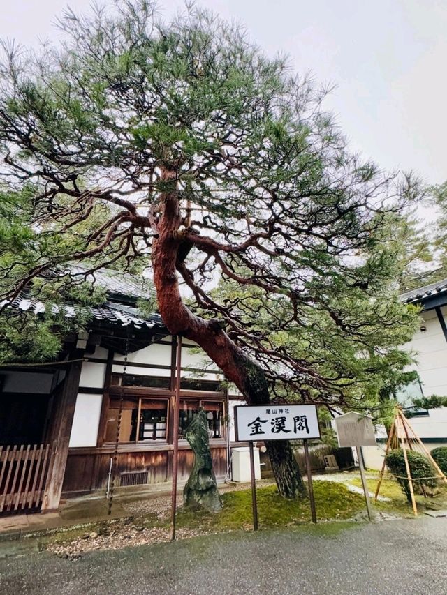 Oyama Shrine, Kanazawa