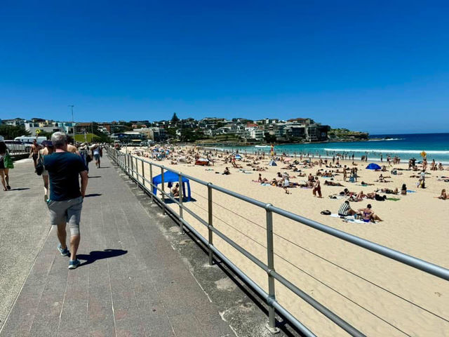 Sun, Surf, and Serenity: A Perfect Day at Bondi Beach