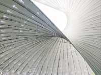 โดมสีขาว หน้าห้าง The ring chongguang 
