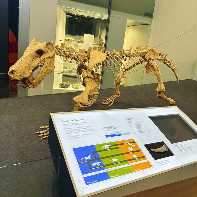 Explore the Wonders of Melbourne Museum 🇦🇺