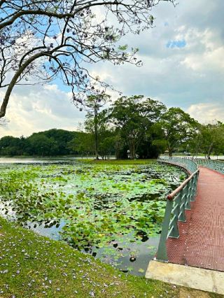 HIDDEN GEM IN CYBERJAYA.