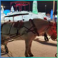 แจกแพลนเที่ยว🧳 Harbin Ice&Snow World2019 1DayTrip
