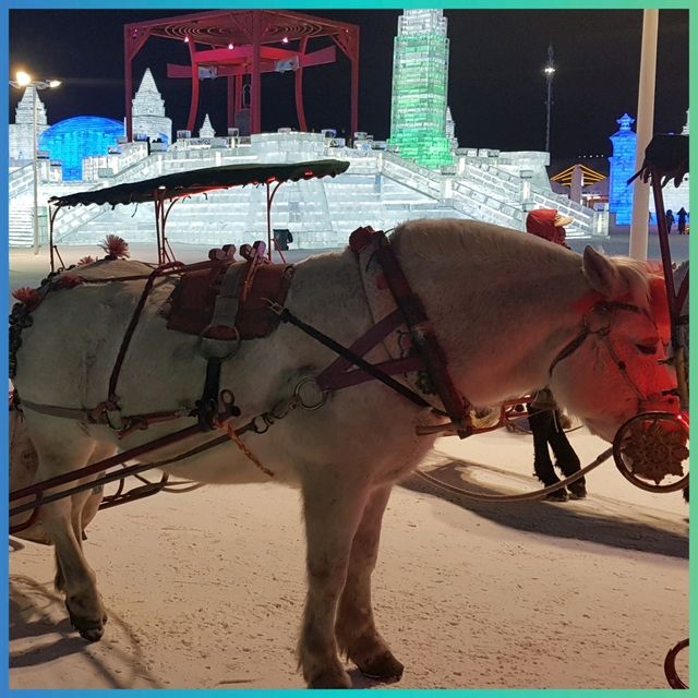 แจกแพลนเที่ยว🧳 Harbin Ice&Snow World2019 1DayTrip