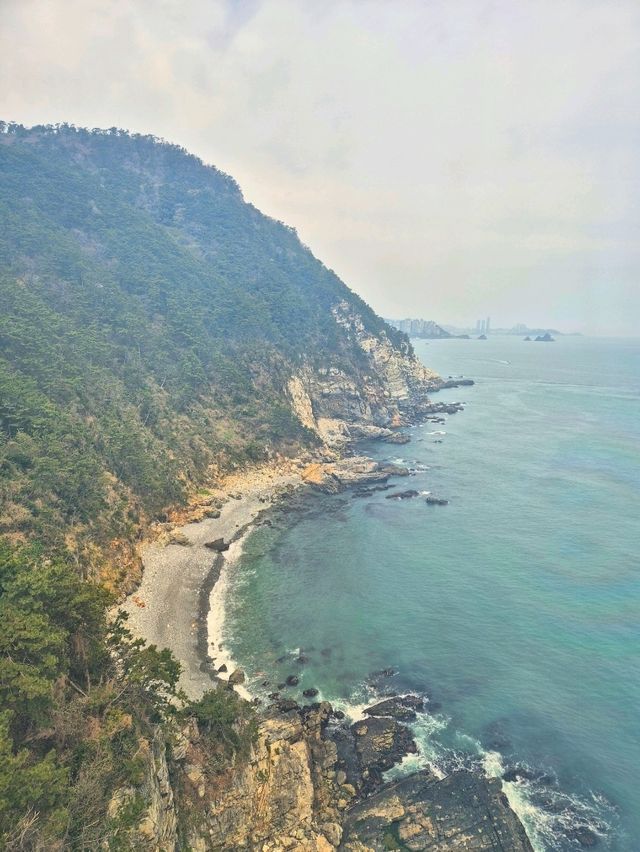 부산 바다와 절벽 : 태종대(영도등대)🇰🇷