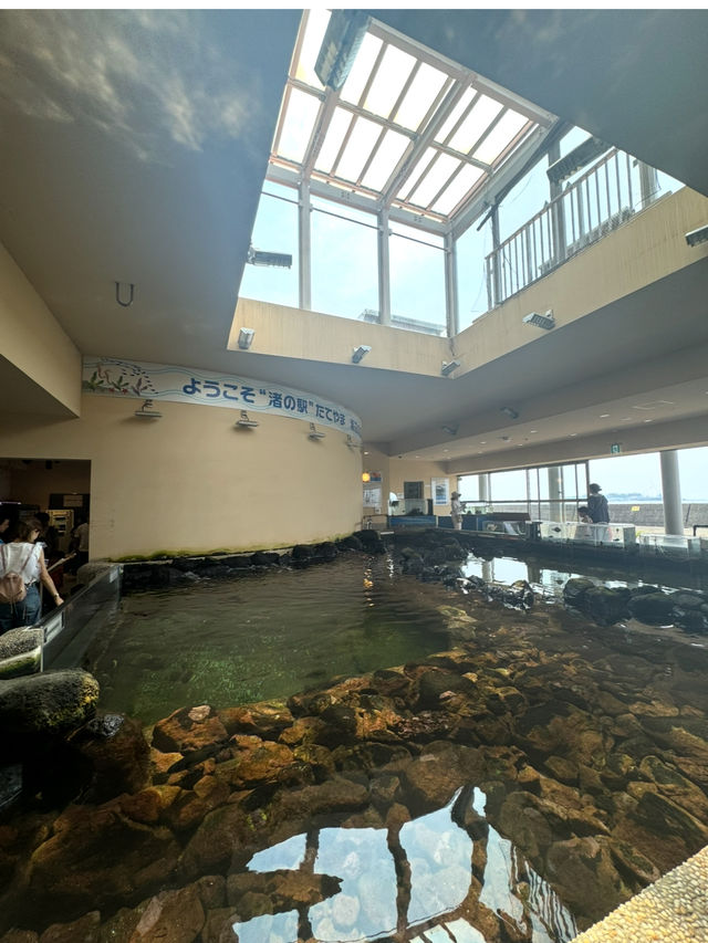 展望台からは館山湾が一望できる千葉の絶景道の駅「渚の駅 たてやま」🫣💞