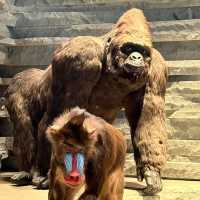 สุดยอดพิพิธภัณฑ์ Shanghai Natural History Museum