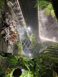 📍Cloud Forest