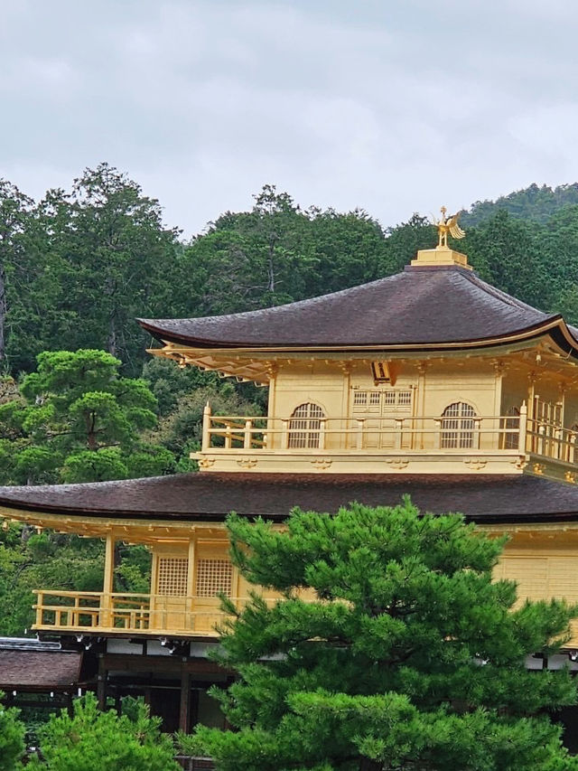 金閣寺：人多但美的讓人不想離開！