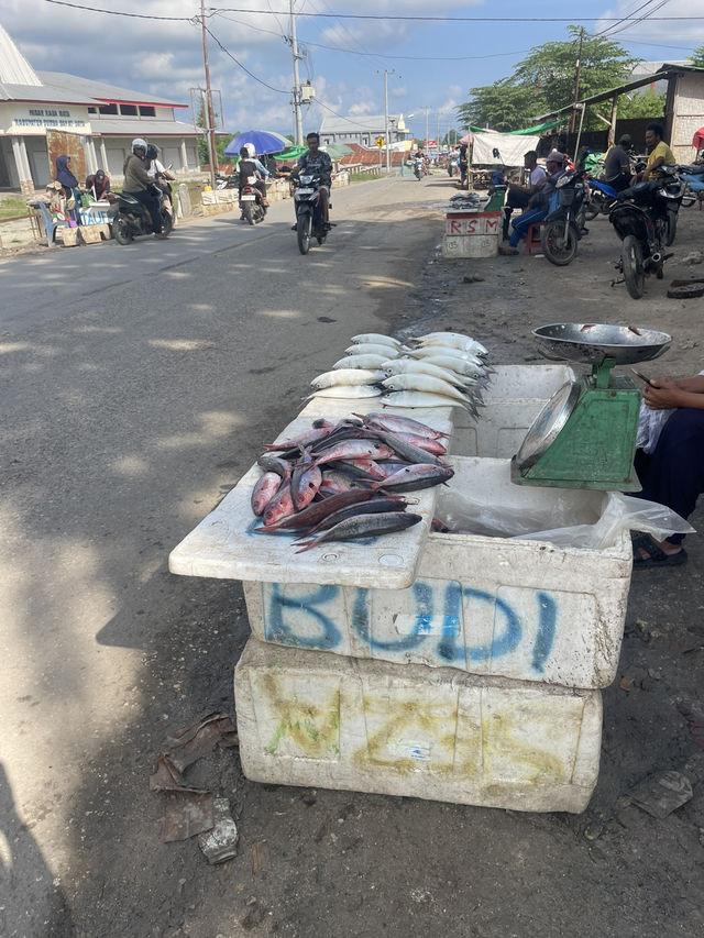 Tambolaka’s Fish Street: A Morning of Fresh Catch and Conversation 