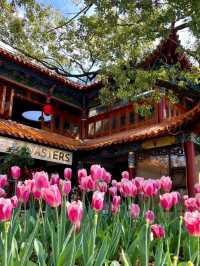 Cuihu Park: The Gem of the City