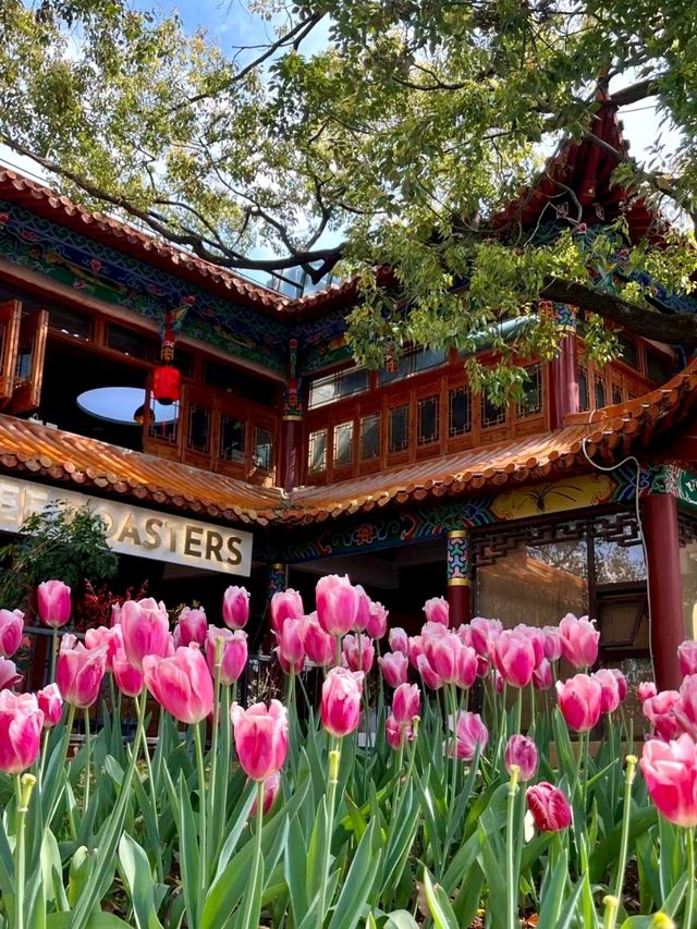 Cuihu Park: The Gem of the City