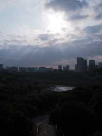 深圳免費公園｜光明虹橋超出片