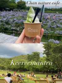 ปักพิกัด 7 คาเฟ่ต้องไป Kanchanaburi 