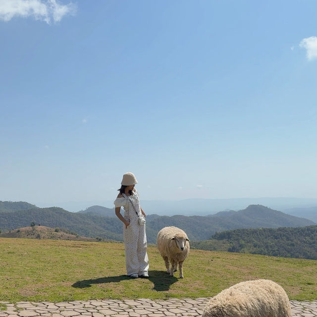 อาข่า ฟาร์มวิลล์ (Akha FarmVille) 🐑🌳🍃 