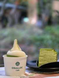 🌳🍵☕️제주 서쪽 가볼만한 곳 오설록 티뮤지엄 