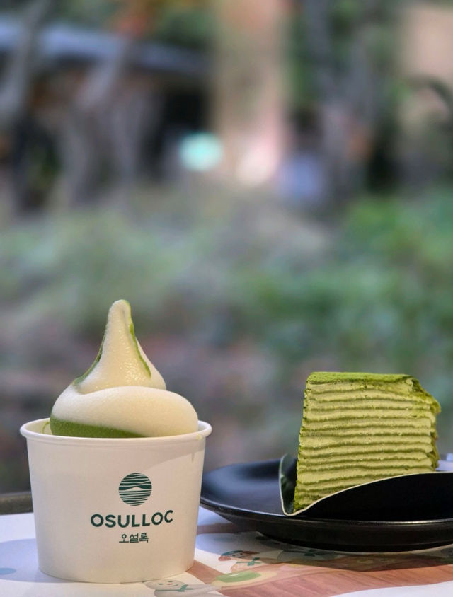 🌳🍵☕️제주 서쪽 가볼만한 곳 오설록 티뮤지엄 