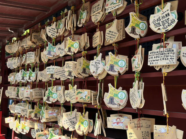 A Tranquil Stroll Through History: Tsurugaoka Hachimangu in Kamakura