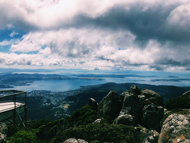 4-Day Tasmania Itinerary: Mountains, Wildlife & Lavender Fields 💜