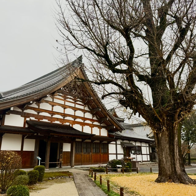 回遊式庭園 - 虎溪山永保寺