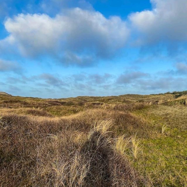 Dunes of Texel National Park