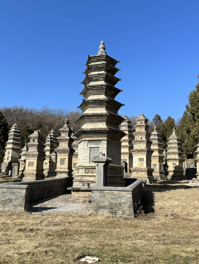 My Luoyang Adventure: 3 Days of History & Spirituality