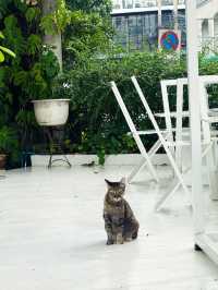 คาเฟ่สไตล์มินิมอลเปิดใหม่ย่านศรีราชา