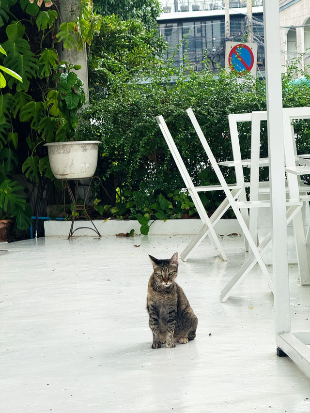 คาเฟ่สไตล์มินิมอลเปิดใหม่ย่านศรีราชา